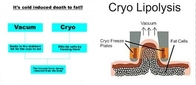 harga pabrik !!!  New Cryolipolysis RF Cavitation vakum melangsingkan mesin