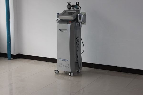 RF Dingin Laser Lipo Laser melangsingkan mesin / Selulit Pengurangan Mesin 220V 50Hz,
