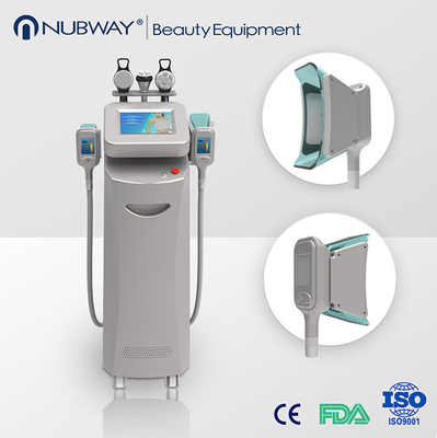 RF Dingin Laser Lipo Laser melangsingkan mesin / Selulit Pengurangan Mesin 220V 50Hz,
