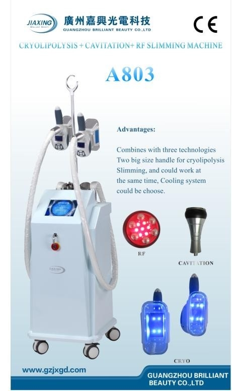 Slimming Peralatan Kecantikan Invasif Cryolipolysis non Dengan 8 inch Color Touch Screen / A804